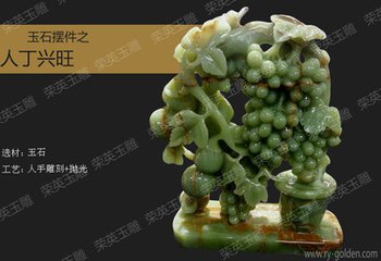 �˶�����